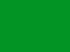 pages/img/green.jpg